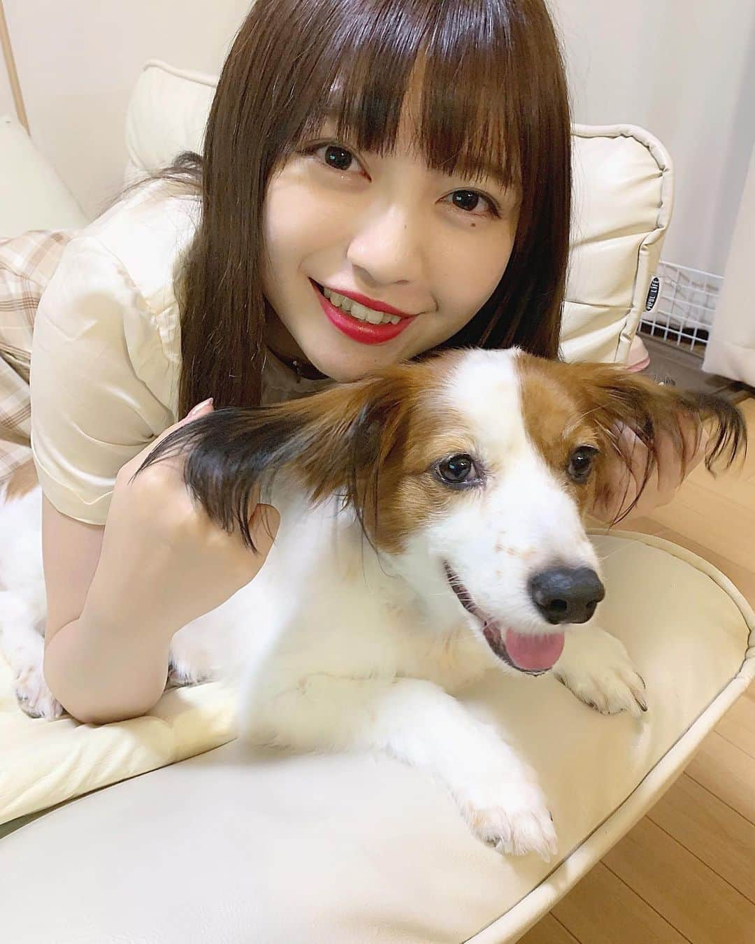 廣川奈々聖さんのインスタグラム写真 - (廣川奈々聖Instagram)「･﻿ ﻿ ﻿ じつは 3日前に﻿ 急遽、一日だけ福岡に帰ってました☺︎﻿ ﻿ ﻿ ﻿ ﻿ 大好きなぼんあんなぼんが﻿ 肺がんになってしまってることが分かって、﻿ ﻿ 動物の病気の進行スピードってものすごく早いから﻿ 明日にでも会いに行かないと、﻿ もしかしたら元気なぼんあんなには一生会えないかもって思って﻿ ﻿ ﻿ 前日の夜に 妹とママと決めて﻿ 久しぶりにお父さんも家族みんな揃って﻿ ぼんあんなぼんのための時間を過ごした🐶！﻿ ﻿ ﻿ ﻿ って言ってもなにも特別なことはしてないけど﻿ ずっとぼんあんなと家で一緒にいて﻿ たくさん甘やかして 美味しいごはんたっくさん食べさせてあげて﻿ ﻿ ﻿ ちょっと息するのが苦しくてあまり寝れなかったり﻿ ごはんも前までみたいにたくさんは食べられないけど﻿ それでも辛いところを見せないようにして生きてるあんなぼんは健気で、すごく愛おしくて、﻿ 私が痛みをぜんぶもらってあげられたらいいのになーって思う（ ; ; ）﻿ ﻿ ﻿ ﻿ ﻿ バイバイするとき寂しくて仕方なかったけど﻿ 会いに行かなかったら一生後悔してたかもしれないし﻿ 会いに行って本当によかった☺︎﻿ ﻿ ﻿ ぼんあんなが残りの人生も幸せに生きられますように🌷﻿ ﻿ また会えるかなあ〜﻿ ﻿ ﻿ ﻿ いつも福岡からお父さんが動画送ってくれるから﻿離れててもまだまだ心はそばにいれる（＾o＾）﻿ ﻿ ﻿ ﻿ ﻿ #ぼんあんなぼんの成長記録」8月11日 22時31分 - nanaseven7_u_u