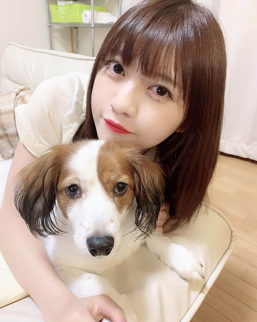 廣川奈々聖のインスタグラム：「･﻿ ﻿ ﻿ じつは 3日前に﻿ 急遽、一日だけ福岡に帰ってました☺︎﻿ ﻿ ﻿ ﻿ ﻿ 大好きなぼんあんなぼんが﻿ 肺がんになってしまってることが分かって、﻿ ﻿ 動物の病気の進行スピードってものすごく早いから﻿ 明日にでも会いに行かないと、﻿ もしかしたら元気なぼんあんなには一生会えないかもって思って﻿ ﻿ ﻿ 前日の夜に 妹とママと決めて﻿ 久しぶりにお父さんも家族みんな揃って﻿ ぼんあんなぼんのための時間を過ごした🐶！﻿ ﻿ ﻿ ﻿ って言ってもなにも特別なことはしてないけど﻿ ずっとぼんあんなと家で一緒にいて﻿ たくさん甘やかして 美味しいごはんたっくさん食べさせてあげて﻿ ﻿ ﻿ ちょっと息するのが苦しくてあまり寝れなかったり﻿ ごはんも前までみたいにたくさんは食べられないけど﻿ それでも辛いところを見せないようにして生きてるあんなぼんは健気で、すごく愛おしくて、﻿ 私が痛みをぜんぶもらってあげられたらいいのになーって思う（ ; ; ）﻿ ﻿ ﻿ ﻿ ﻿ バイバイするとき寂しくて仕方なかったけど﻿ 会いに行かなかったら一生後悔してたかもしれないし﻿ 会いに行って本当によかった☺︎﻿ ﻿ ﻿ ぼんあんなが残りの人生も幸せに生きられますように🌷﻿ ﻿ また会えるかなあ〜﻿ ﻿ ﻿ ﻿ いつも福岡からお父さんが動画送ってくれるから﻿離れててもまだまだ心はそばにいれる（＾o＾）﻿ ﻿ ﻿ ﻿ ﻿ #ぼんあんなぼんの成長記録」