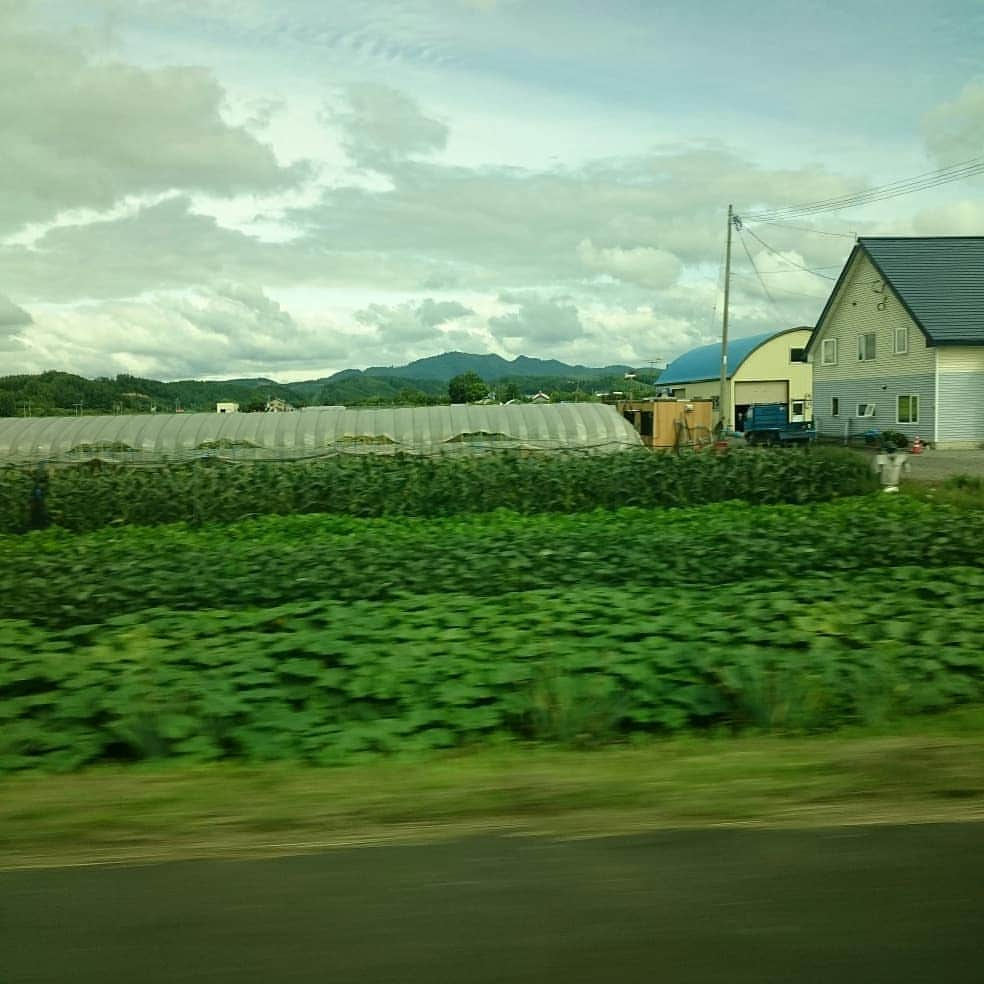 布川ひろきさんのインスタグラム写真 - (布川ひろきInstagram)「トム・ブラウン布川です。 今日のロン毛。 根菜キャバレー 天野さん アフロ田中の嫁にすごい似てるロン毛。  北海道は士別での 復活！朝日町商店街！に起こしいただいた皆さんありがとうございました！ 北海道に住んでた時も士別に行ったことはなかったのですが めちゃくちゃ空気がうまくて人が優しすぎたので家買いたいです！皆さん旅行か移住しましょう！  そして、明日12日～16日まで7:05～ テレビ東京系 「おはスタ」に出させていただきます！ レギュラーチームVS僕らとでんぱ組のぺろりん先生こと鹿目凛ちゃんチームです！エブリデイ！見てぇーーーー！  #ブリバリでGO! #ヤングな横須賀大冒険 #トムブラウン #おはスタ #サンシャインジャンケンで #カロリー #2000使った」8月11日 22時40分 - nunokawa_tombrown