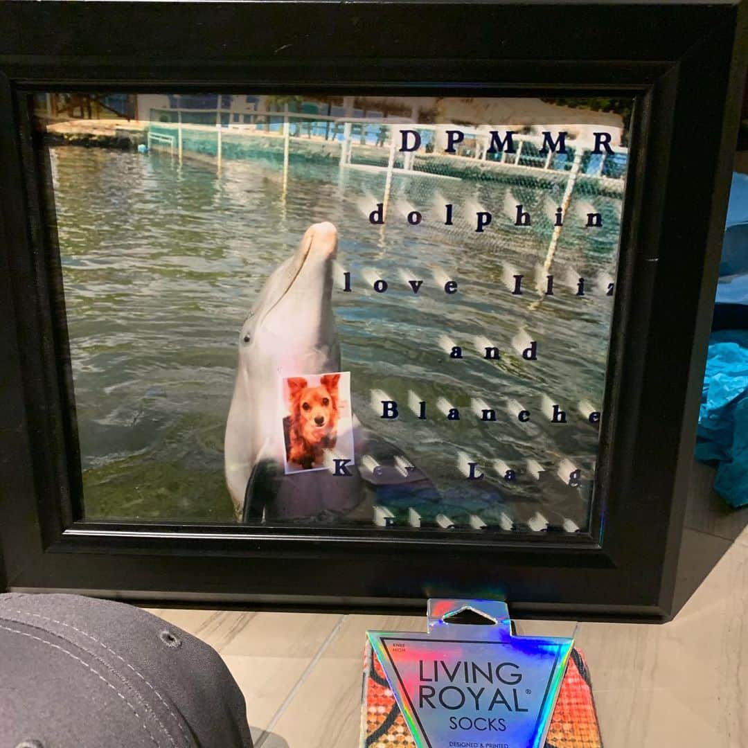 イリザ・シュレシンガーさんのインスタグラム写真 - (イリザ・シュレシンガーInstagram)「Dr. Jo is a dolphin doctor in Key Largo at Dolphins Plus Marine Mammal Responder. She put a picture of Blanche with her dolphin, took a picture and framed it! She also framed her last Blanche interaction! The bracelet is a dolphins call as a echo graph! Thanks for helping these beautiful creatures, doc. Got us some nice hates @animal_necessity and she is very focused on saving our 🐬 and other marine animals! 🐳🐋🦈🐟🐠🐡🐙🦑」8月11日 23時02分 - ilizas