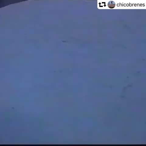 サキャスティックのインスタグラム：「#repost @chicobrenes ・・・ AYA and What!! 💔🙏🏽😭」