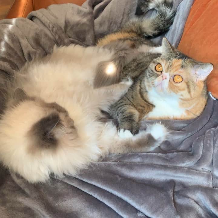 Tinaのインスタグラム：「BFFs 💓」