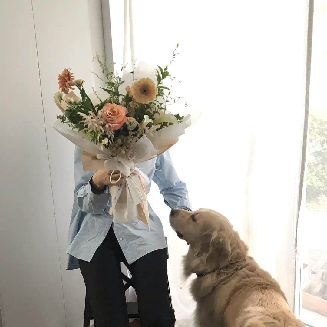 플로리스트 이주연 florist Lee Ju Yeonさんのインスタグラム写真 - (플로리스트 이주연 florist Lee Ju YeonInstagram)「. . #바네스꽃다발 #vaness花束 . 꽃다발 (feat.이나무씨) . #수업문의 #주문예약 #lesson #Order  Katalk ID vaness52 클래스상시모집 당일꽃주문가능 WeChat ID vaness_flower E-mail vanessflower@naver.com . 강남구 역삼동608-16 📞02-545-6813 . #vanessflower #florist #flowershop #handtied #flowerlesson #花束 #花束包装 #바네스플라워 #플라워카페 #플로리스트 #꽃다발 #부케 #플로리스트학원 #역삼동꽃집 #역삼역꽃집 #언주역꽃집 #꽃꽂이수업 #플라워레슨 #꽃다발포장법 #꽃수업 #꽃주문 #하우스웨딩 #대관」8月11日 23時18分 - vanessflower