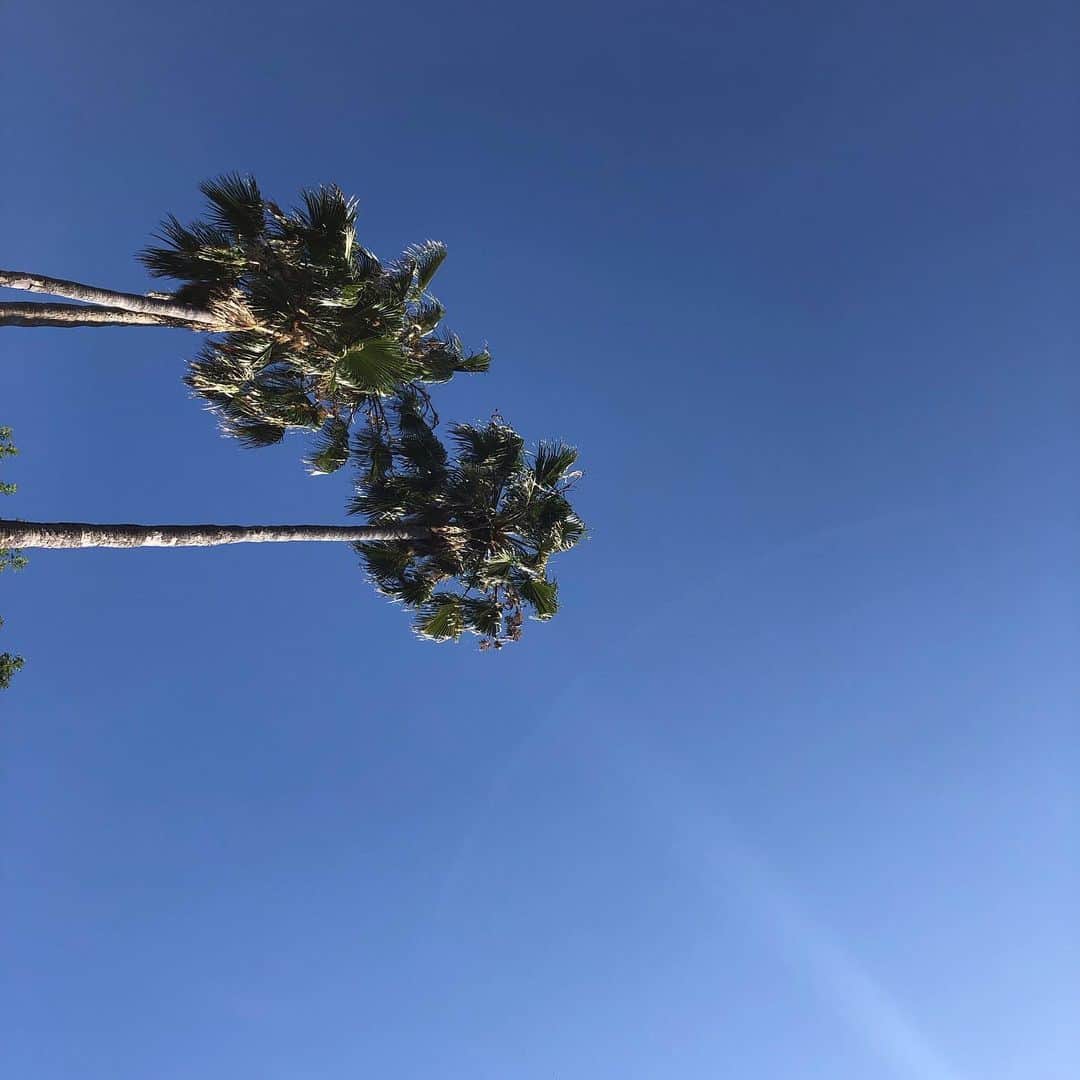 アナベル・ウォーリスのインスタグラム：「Good morning Los Angeles ❤️」