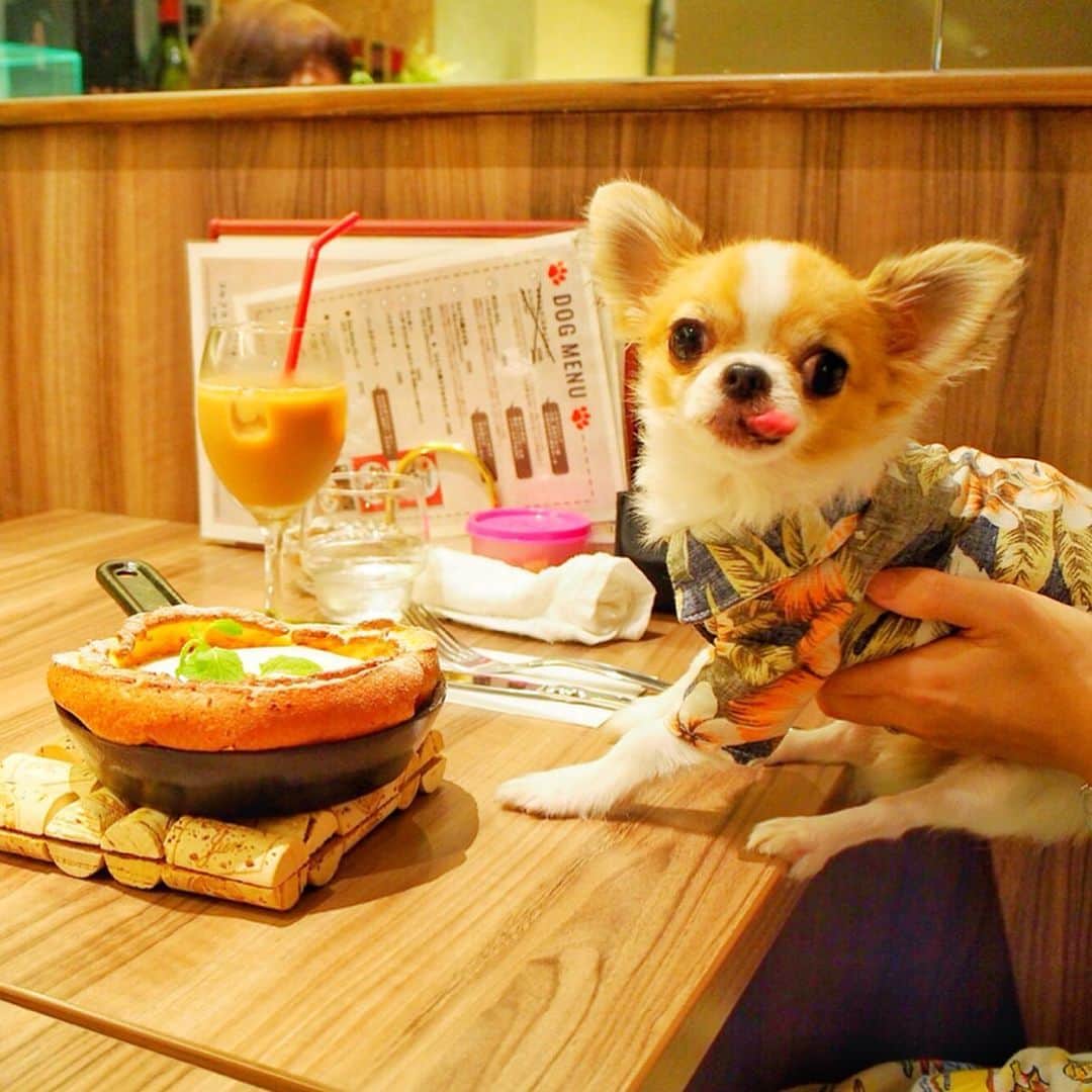 ちまのグルメインスタ