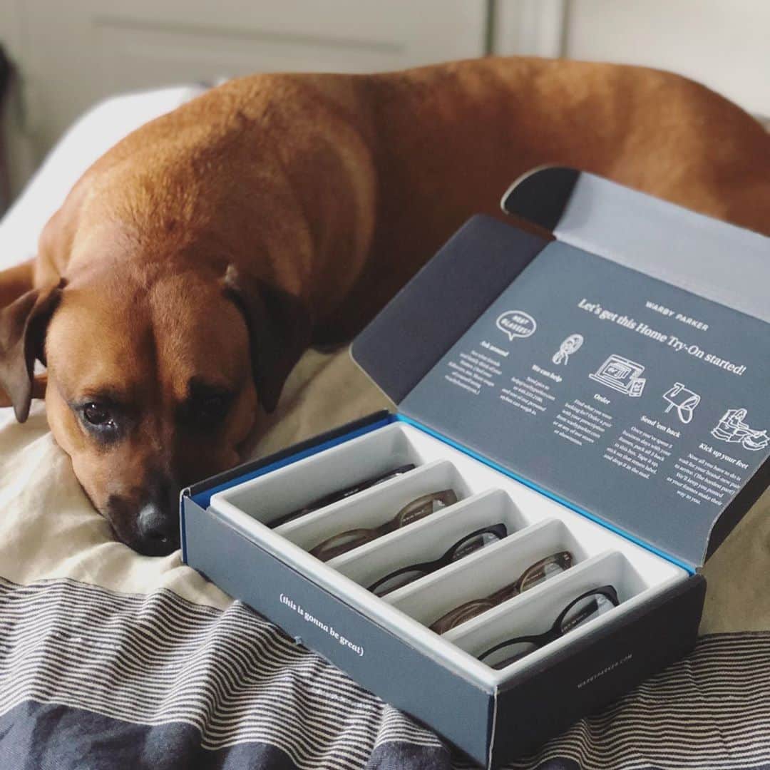 Warby Parkerのインスタグラム：「Who's helping you with your #warbyhometryon? Tag them below! 🤓👍🐾 (Photo by @thecaliforniarose.)」
