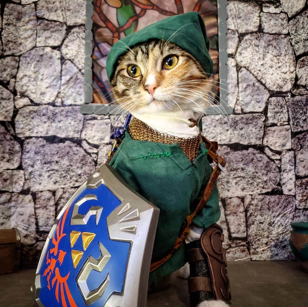 猫コスプレのインスタグラム