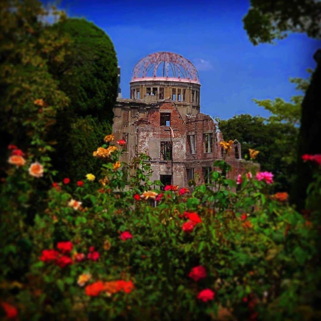 宍戸留美のインスタグラム：「#nomorehiroshimas #hiroshima #peacememorialpark #japan #japanese #love #loveandpeace #flours #roses #rose」