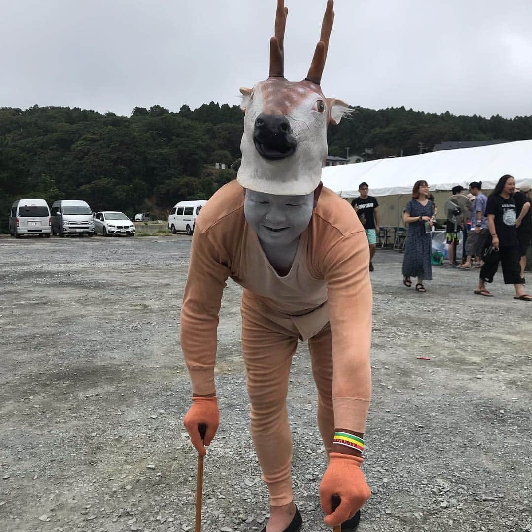 Tatsuyaさんのインスタグラム写真 - (TatsuyaInstagram)「牡鹿が迷い込んで来ました。  #内郷げんこつ会 #今日もクオリティー高い #ジャック瀬戸内」8月12日 11時07分 - tatsuya_locofrank