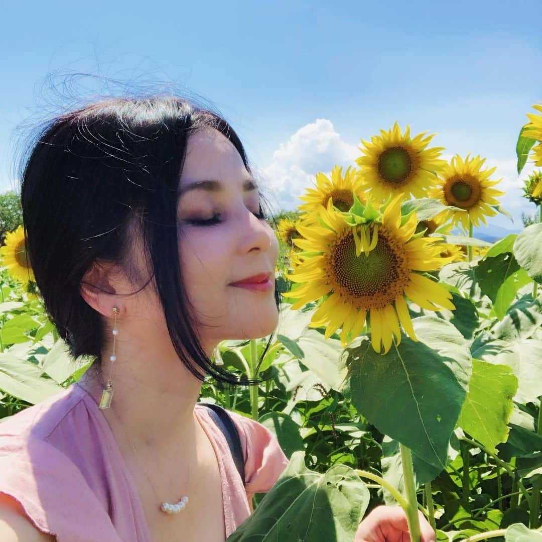 加藤美佐子さんのインスタグラム写真 - (加藤美佐子Instagram)「夏は向日葵と青空と白い雲☀️ それだけで本当に幸せな気持ちになる🌻 めちゃめちゃ暑かったけど のどかな景色と草の空気に癒される〜😆✨✨ #向日葵 #🌻 #向日葵畑 #座間ひまわり畑  #夏のひまわり畑 #summer #座間 #ひまわり畑 #田舎の風景 #田舎の風景に癒される #夏が好き #夏が好きでたまらない #japansummer #japan #50万本のひまわり #ツノジュエリー #sunflowers #sunflower」8月12日 9時58分 - misako.kato