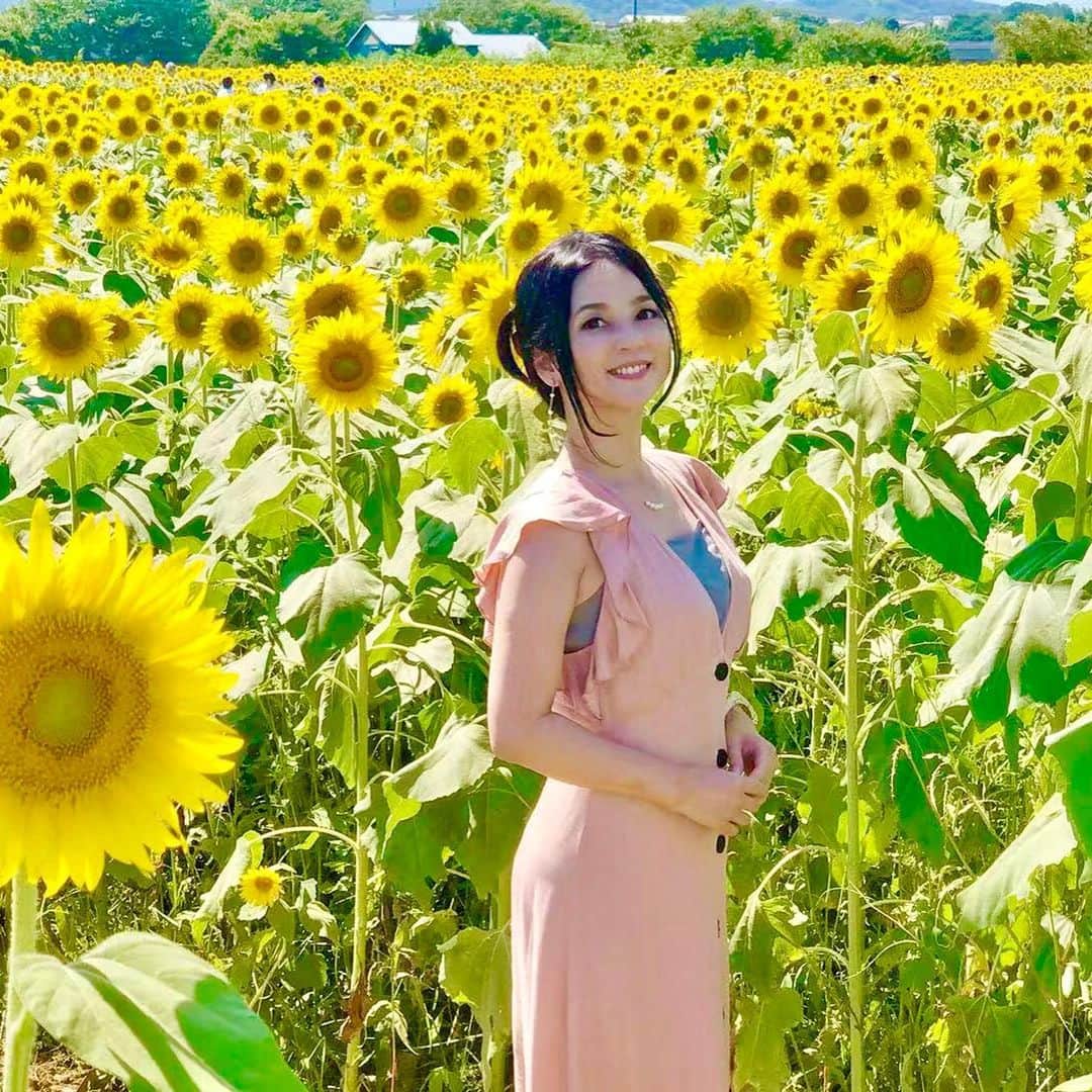 のインスタグラム：「夏は向日葵と青空と白い雲☀️ それだけで本当に幸せな気持ちになる🌻 めちゃめちゃ暑かったけど のどかな景色と草の空気に癒される〜😆✨✨ #向日葵 #🌻 #向日葵畑 #座間ひまわり畑  #夏のひまわり畑 #summer #座間 #ひまわり畑 #田舎の風景 #田舎の風景に癒される #夏が好き #夏が好きでたまらない #japansummer #japan #50万本のひまわり #ツノジュエリー #sunflowers #sunflower」