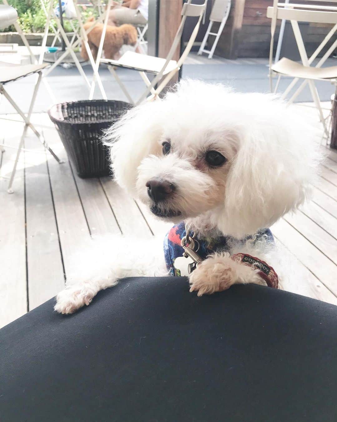 稀鳥まりやのグルメインスタ