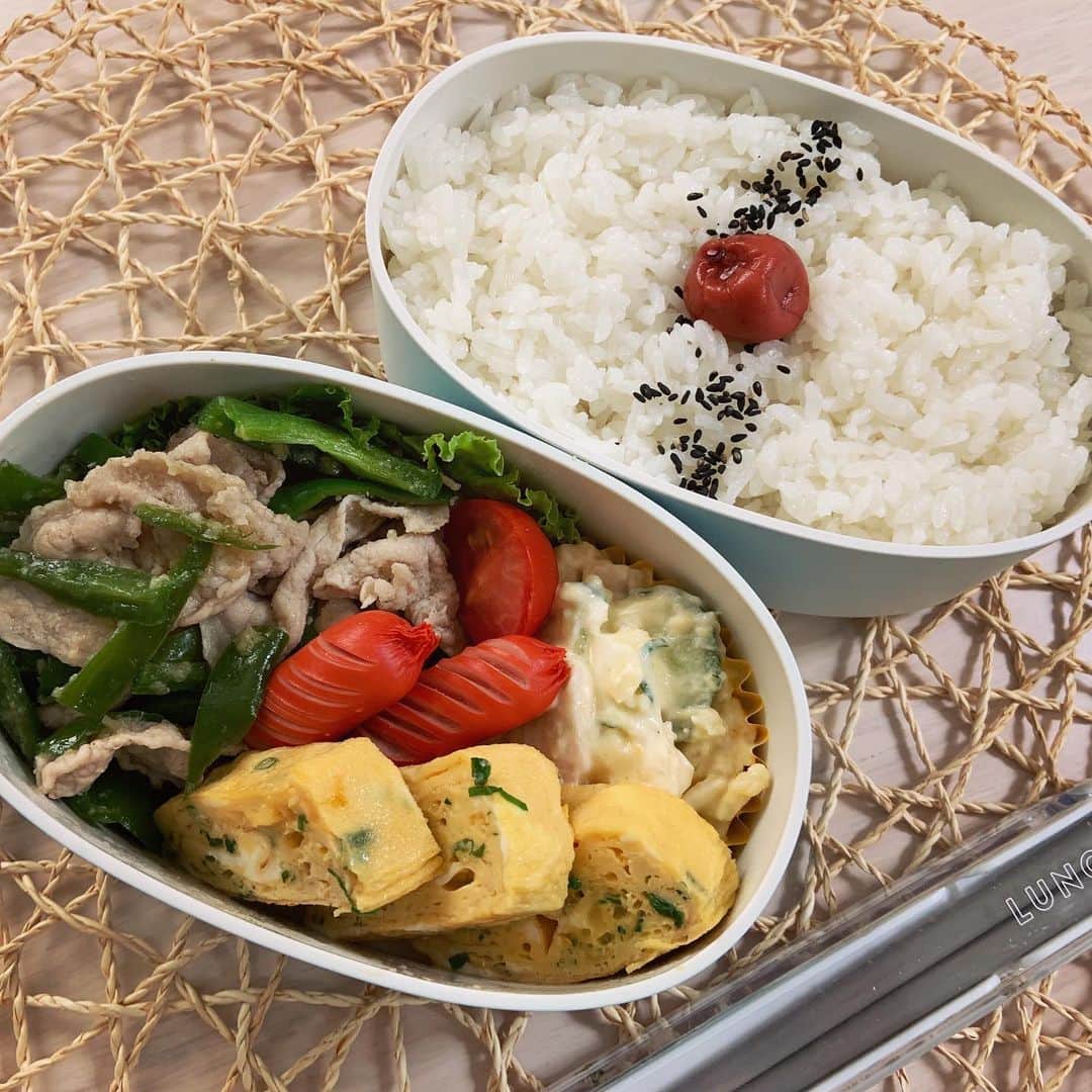 本田しおりのインスタグラム：「#今日のお弁当  #ピーマンと豚ロースの生姜焼き#赤ウインナー#ネギ入りだし巻き卵#ポテトサラダ  #お弁当 #本田弁当 #旦那さん弁当 #神ちゃん弁当  #神弁」