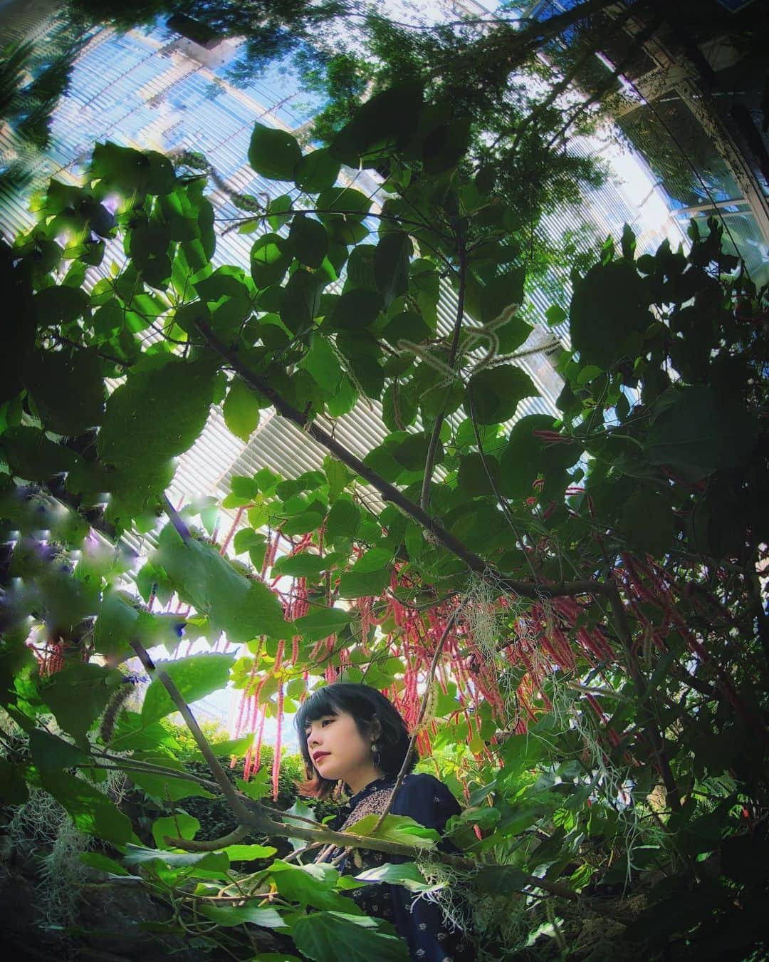 のインスタグラム：「*﻿ 🌿🌴🍃🌿🌴﻿ Green Mansions﻿ 🌿🌴🍃🌿🌴﻿ *﻿ 手の方は﻿ まだ腫れはあるけれど﻿ 少しずつ回復﻿ 皆さんお見舞い﻿ メッセージ﻿ ありがとうございます。﻿ *﻿ #fukuokapics﻿ #fukuokapics_life﻿ #Botanicalgarden﻿ #GreenMansions﻿ #floweroftheday﻿ #福岡市動植物園﻿ #ShotOn_TG﻿ #TG_FISH220 ﻿ #fisheye ﻿ #fisheye220﻿ #moodygrams﻿ #mwjp﻿ #igersjp﻿ #ShotOniPhone﻿ #shotoniphonex﻿ #ポートレート﻿ #as_archive﻿ #ink361_asia﻿ #ig_photooftheday﻿ #indies_gram ﻿ #tv_pointofview﻿ #grryo #youmobile ﻿ #VSCO﻿ #raw_mobile﻿ #jj_mobilephotography﻿ #portrait﻿ #royalsappingartists﻿ #raw_mobile」
