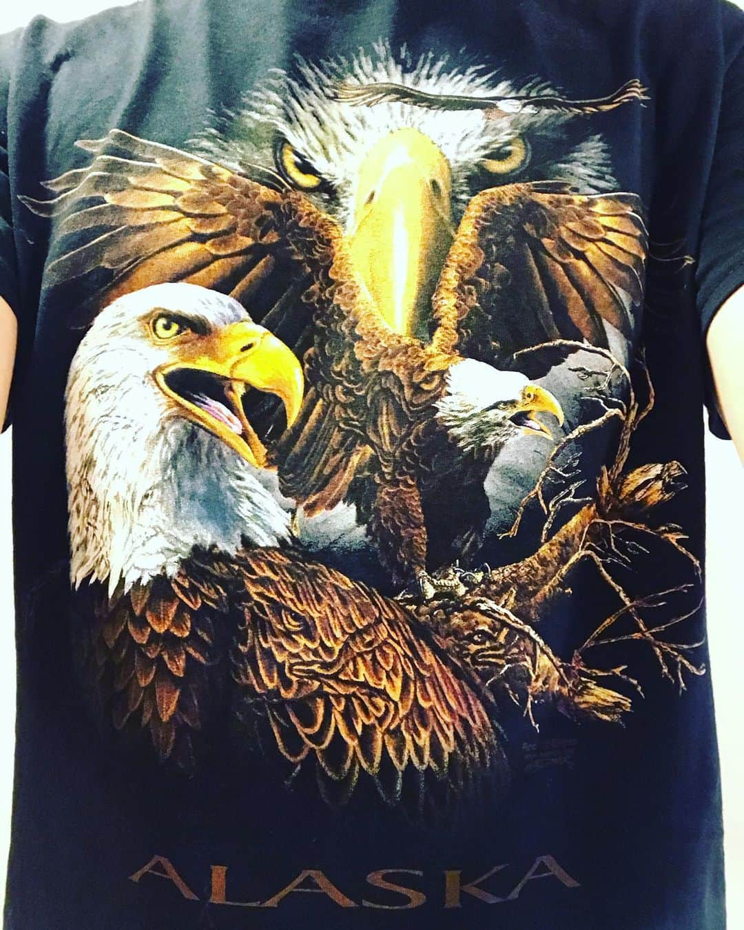 コリン・ハンクスさんのインスタグラム写真 - (コリン・ハンクスInstagram)「Found my shirt! How many eagles do you see? #alaska #shirt #of #eagles #how #many #tourism #raptorsnotpoultry」8月12日 3時39分 - colinhanks