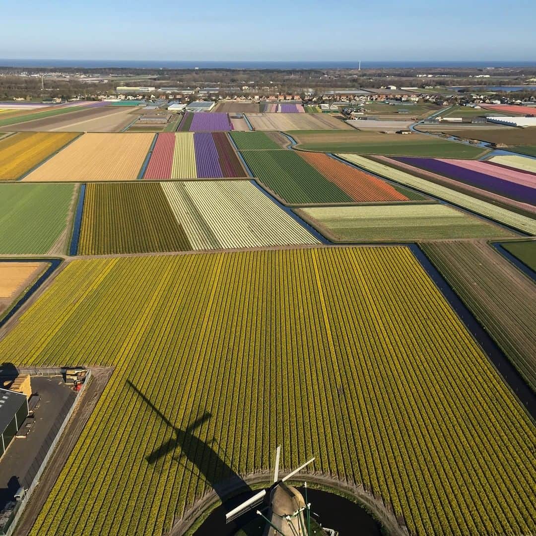 National Geographic Travelさんのインスタグラム写真 - (National Geographic TravelInstagram)「Photo by Muhammed Muheisen @mmuheisen | The shadow of a windmill is cast on a blossoming tulip field near the Dutch town of Lisse, southwest of Amsterdam. For more photos and videos from different parts of the world, follow me @mmuheisen and @mmuheisenpublic #muhammedmuheisen #Lisse #netherlands」8月12日 4時04分 - natgeotravel