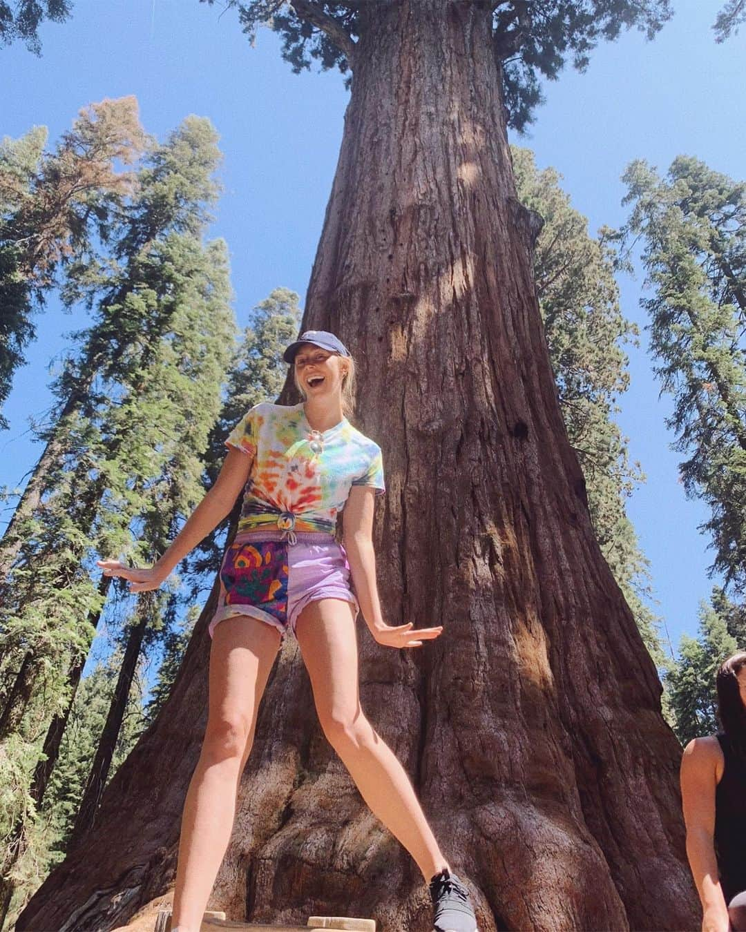 キャロライン・クラークのインスタグラム：「Here to remind you that the General Sherman tree isn’t the tallest tree in the world, however it is the girthiest tree in the world. #facts」