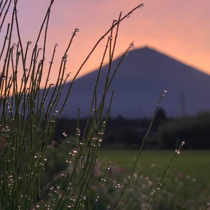 phantastic420のインスタグラム：「. 🤩🤩“Shizuoka” prefecture in Japan is a place where you can see the most “phantastic” Mt. Fuji🗻 in the world.🤩 #富士山 #mtfuji #japan #shizuoka #fujinomiya  #phantastic420photography #mostphantasticmtfuji #selamatpagi  #goodmorning  #おはようございます 😇😇😇😇😇😇😇🗻😇😇 朝は秋が感じられます😢」