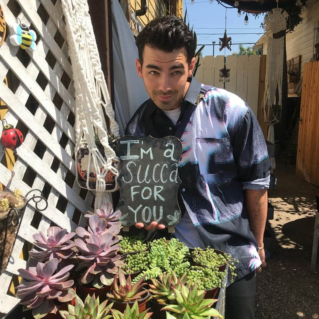 ジョー・ジョナスさんのインスタグラム写真 - (ジョー・ジョナスInstagram)「Very Punny!」8月12日 5時34分 - joejonas