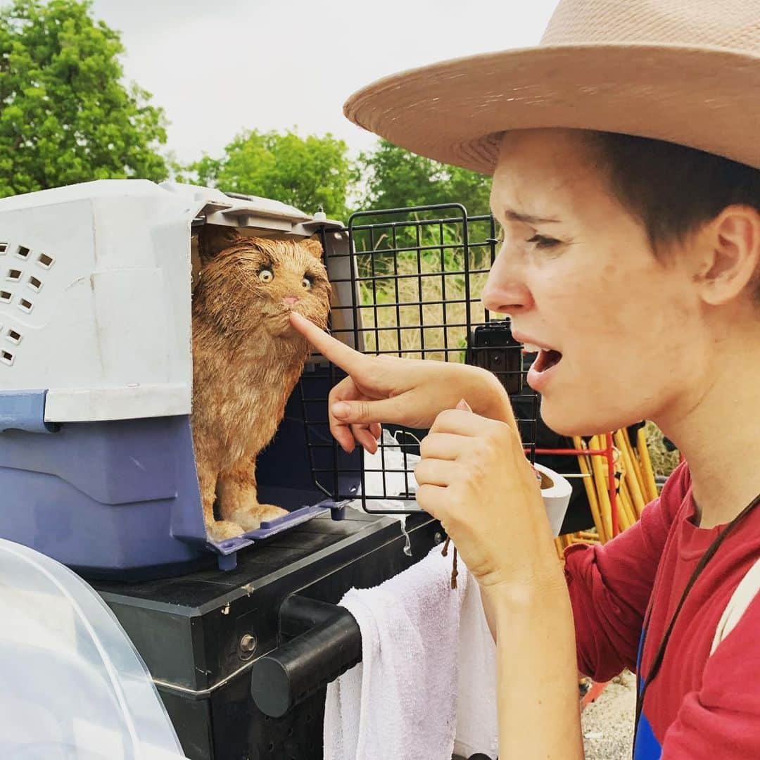マギー・グレイスのインスタグラム：「We bite back TONIGHT - @feartwd returns to @amc_tv 9/8c #meOW #standin #catactorsareprimadonnas #skidmark #hellbeinhistrailer #callhisagent 🐈🎭⭐️」