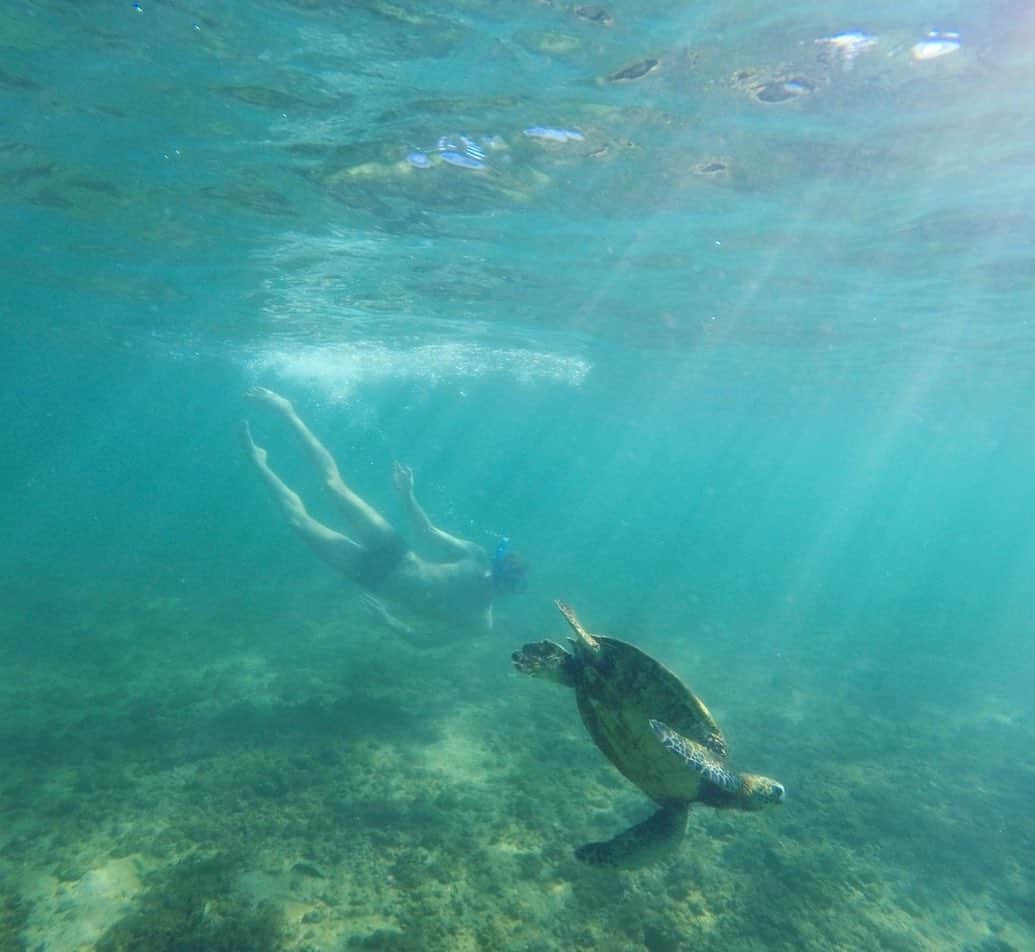 トラビス・マホーニーのインスタグラム：「Morning swims 🏊🏼‍♂️🐢 #crush #hawaii」