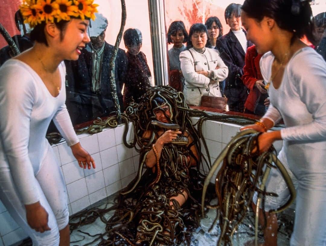 Michael Yamashitaさんのインスタグラム写真 - (Michael YamashitaInstagram)「Imagine hundreds of snakes, some venomous, slithering all over your body. That’s entertainment at the Flying Dragon Snake Farm in Panyu, China. Along with snake performances, they sell snake based meals, like snake snacks and snake noodle soup, along with traditional medicines, like snake oil. Says owner, Chin Lung Fei, “We treat snakes as friends.” #snakes #venomoussnakes #reptiles #guangdong #animalshow」8月12日 7時00分 - yamashitaphoto