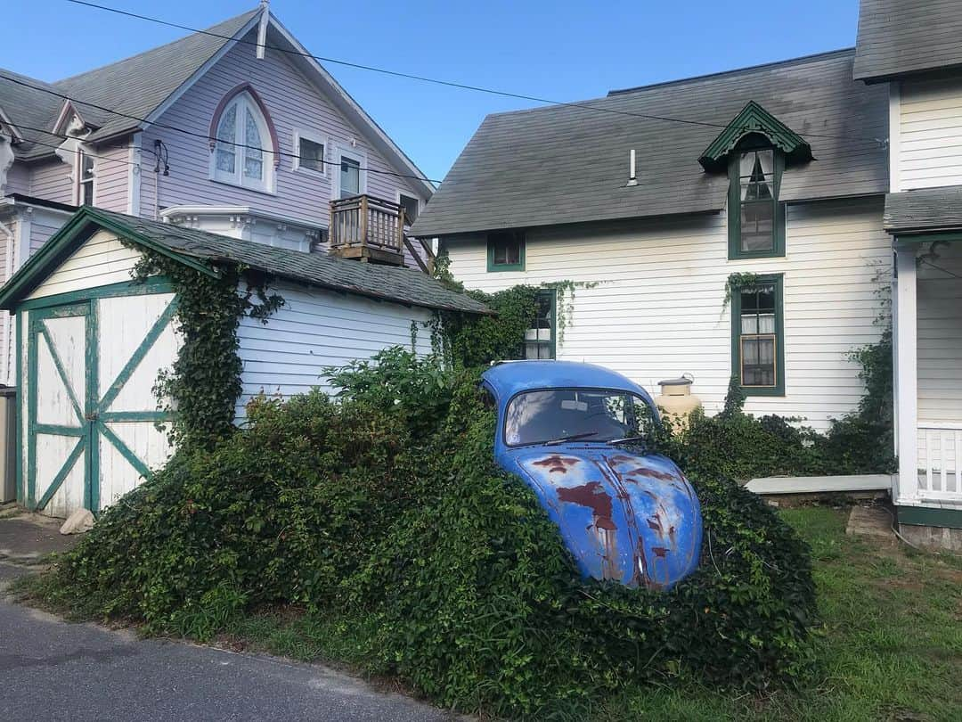 トームさんのインスタグラム写真 - (トームInstagram)「‘Has anyone seen the car?! I swear I thought I parked it right there...’ #MarthasVineyard #massachusetts #tometravels」8月12日 7時32分 - tomenyc