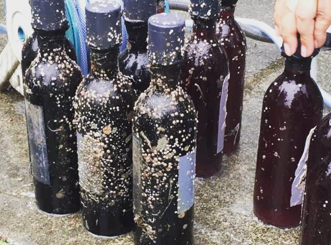 ～IRORIダイニング～ゆとりろ西伊豆のインスタグラム：「ワイン好き必見！海底熟成ワインを土肥で満喫♪ . . こんにちは、#ゆとりろ西伊豆 新田 です。 およそ4か月間、土肥の海底で熟成させたワインを味わう海底熟成ワイン祭り。 【2019年8月17日】に、土肥温泉で開催されます。 . . 2018年11月から約4カ月間、富士山に育まれた中伊豆の巨峰のふるさと「中伊豆ワイナリー」のワインを「ジオパーク伊豆半島」の駿河湾土肥八木沢沖海底15mに保存し、熟成させました。その後、土肥金山坑道奥に移し静かに熟成を重ねたのが、海底熟成ワイン「らぶ・まーれ　2019」です。 . . このワインを多くの方に味わってもらうため、海底熟成ワイン祭りを開催します。バンドの演奏を聴きながら中伊豆ワイナリーシャトーのロマンあふれる海底熟成ワインの開栓式をビアガーデン感覚で楽しめるお祭りです。 . . 1杯500円で販売。普通のワインと飲み比べもできます。その他、市内生産物を使用したおつまみ等も味わえます。 . This picture is Undersea wine in Toi-onsen Japan. Would you like to try this wine? . . #伊豆 #西伊豆 #ゆとりろ西伊豆 #旅行 #旅行好きな人と繋がりたい #温泉 #家族旅行 #土肥 #海 #ビーチ #ワイン #japan #izu #travel #sea #onsen #sunset #beach #instagood #wine」