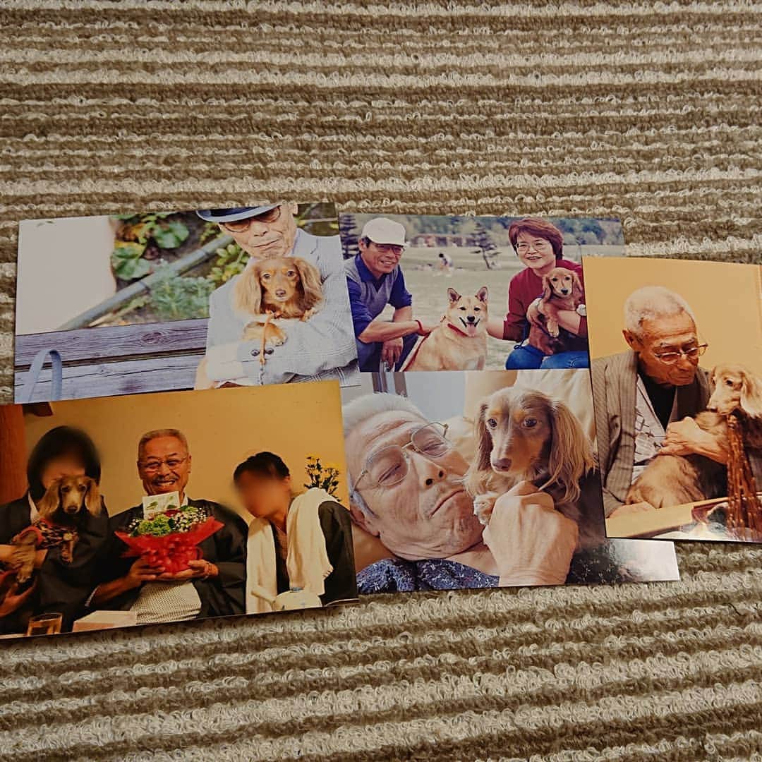 くるみんのインスタグラム：「* 明日、棺に入れる予定の犬達との写真と 父の愛用品  #父 #お父さん #ミニチュアダックスフンド #ミニチュアダックスフント #ミニチュアダックス #イザベラタン #イザベラ #カニンヘンダックスフント #カニンヘン #カニンヘンダックス #カニンヘンダックスフンド #チョコタンダックス #チョコタン #ダックス多頭飼い #ダックスフント #ダックスフンドカニンヘン #ダックス #わんこなしでは生きていけません会 #ワンコなしでは生きて行けません会 #いぬばか部 #いぬすたぐらむ #短足部 #dachshundgram #dachshund #dogstagram #inustagram #instadachs #kyounodachs #todayswanko #7pets_1day」