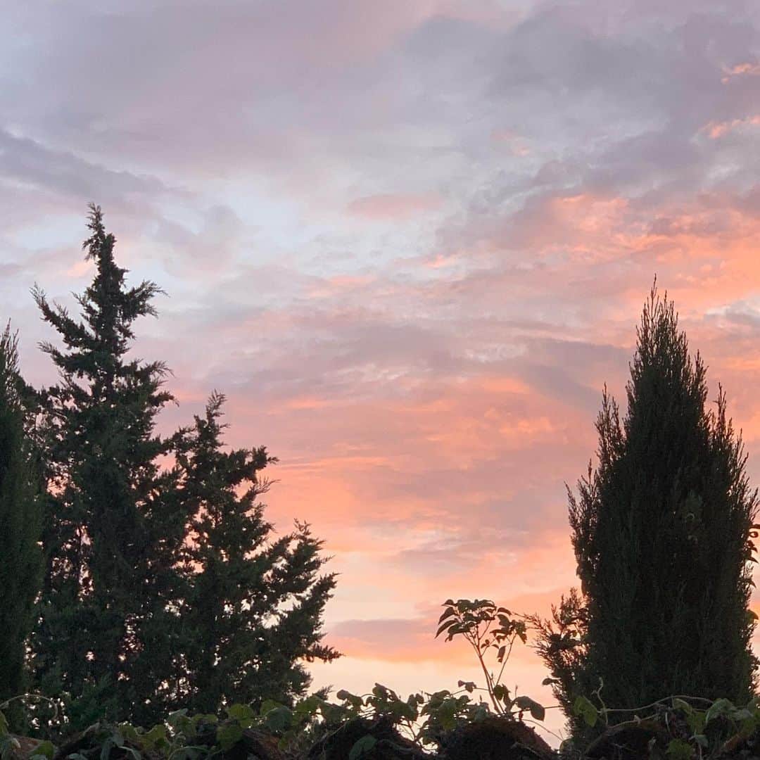 のインスタグラム：「Très beau  couché de soleil Et aussi les cigales qui chantent encore #provence」