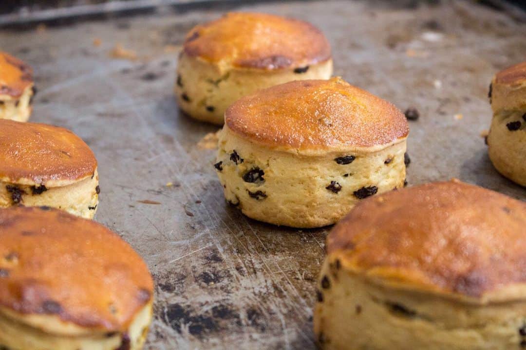 笹塚駅のパン屋さん オパンのグルメインスタ