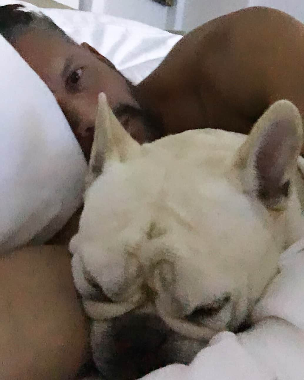 Rodner Figueroaさんのインスタグラム写真 - (Rodner FigueroaInstagram)「Home sweet home!!! 🐶 #napoleonandcarlota #homesweethome #rodnerfigueroa #frenchbulldog #frenchies」8月12日 20時21分 - rodnerfigueroa