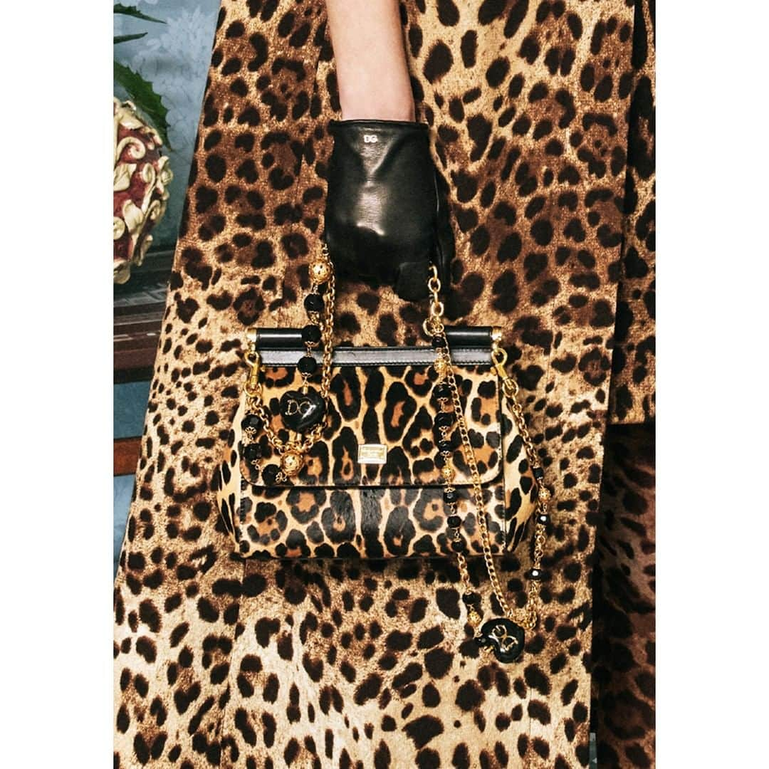 ドルチェ&ガッバーナさんのインスタグラム写真 - (ドルチェ&ガッバーナInstagram)「A distinguishing pattern for #DGWomen, the leopard's spots are set to be your go-to print come autumn. #DGLeo #DGSicilyBag」8月12日 19時01分 - dolcegabbana