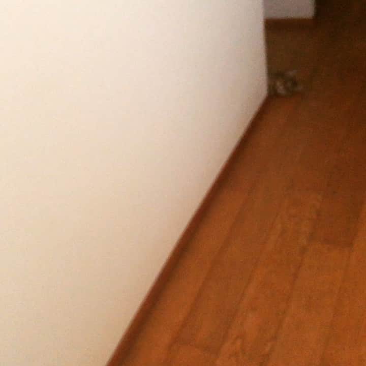 ウィスット・ポンニミットのインスタグラム：「#dorachan」
