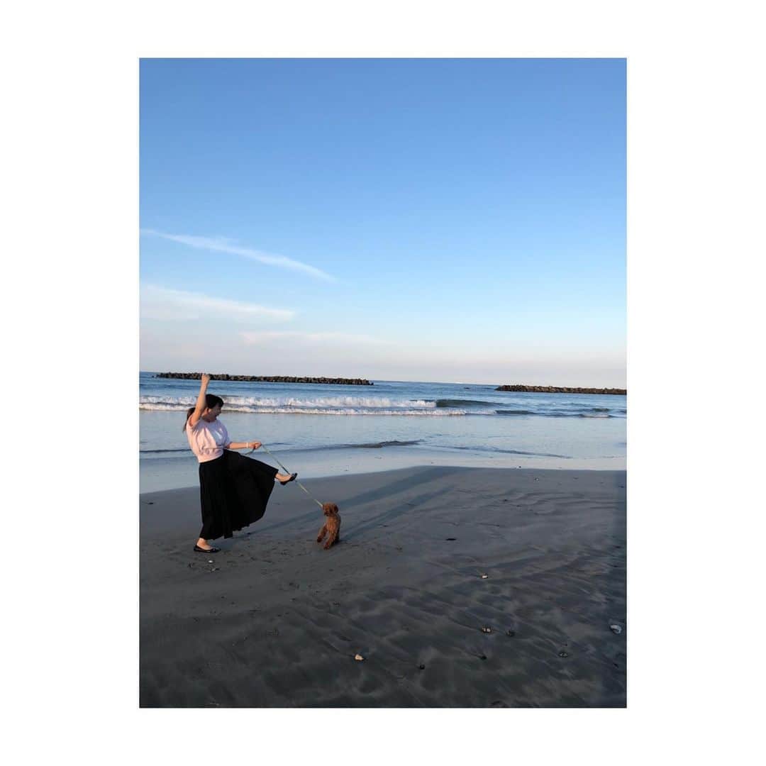 牧野由依さんのインスタグラム写真 - (牧野由依Instagram)「躍動感ある海藻 さりげなく犬を添えて… . #海  #海藻 #砂浜  #恒例行事」8月12日 19時18分 - yui_makino0119