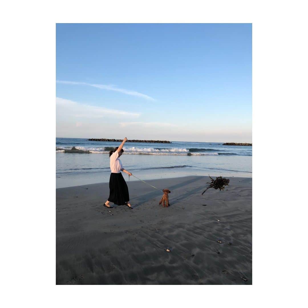 牧野由依さんのインスタグラム写真 - (牧野由依Instagram)「躍動感ある海藻 さりげなく犬を添えて… . #海  #海藻 #砂浜  #恒例行事」8月12日 19時18分 - yui_makino0119