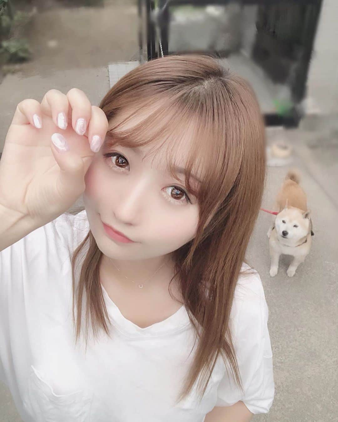 のインスタグラム：「new ネイル ♡ ♡ れいちゃんにネイルしてもらいました💖 安心安全のれいちゃん！ . . 夏っぽい感じにしたくて けど水色の気分じゃなかったので 右手はキラキラ 左手は水っぽいウルウルネイル 左右違うけどなんとなく統一感あるかんじ！！ . . キラキラは見てるとテンション上がるし うるうるは触り心地いい笑笑 . . どんなネイル好きですか？？ . #キラキラネイル #うるうるネイル  #シンプルネイル #夏ネイル2019  #夏ネイルデザイン #クリアネイル #オーロラネイル #ショートネイル #被写体 #まる #豆柴 #柴犬 #名前はまる #ストーンネイル #ハートネイル」