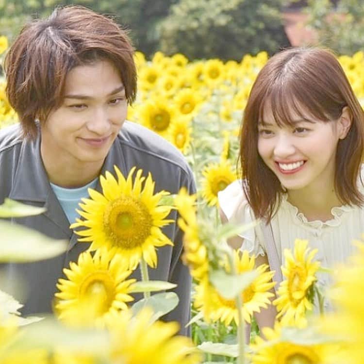 のインスタグラム：「#西野七瀬#横浜流星 #田中圭#手塚翔太#あな番 #あなたの番です#奈緒 #浴衣#二階堂忍 #夏祭り#シンイー #黒島ちゃん#尾野幹葉 #fuamoko」