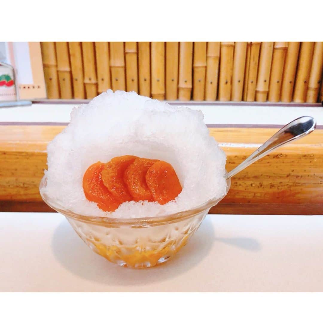 森下紀子さんのインスタグラム写真 - (森下紀子Instagram)「. 今日食べた氷あんずは、  なんだかとても愛おしく 忘れられない氷あんずになりました。」8月12日 19時50分 - noriko_morishita_
