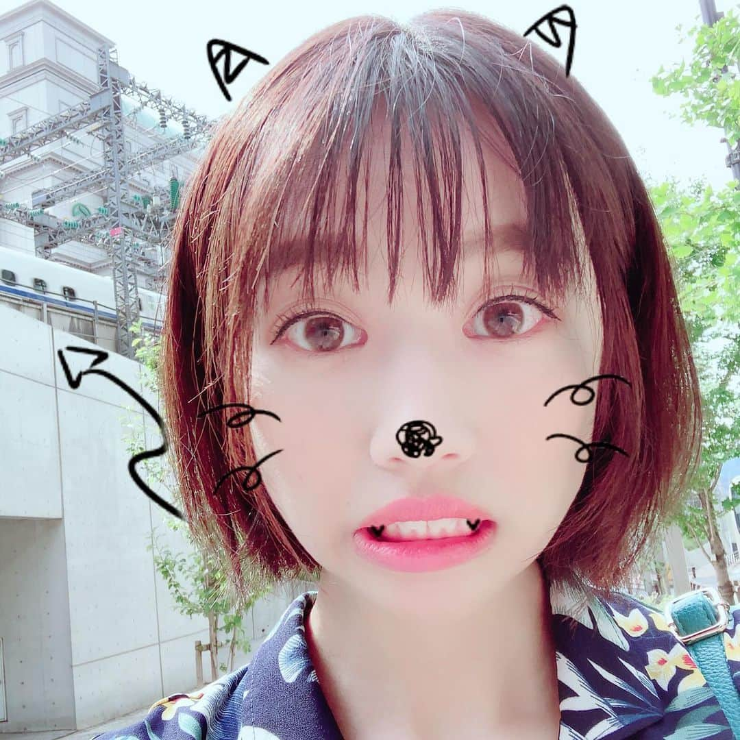 杉田沙緒里さんのインスタグラム写真 - (杉田沙緒里Instagram)「そーいや髪切った✂️ #夏はバッサリ #でもショートには出来ない #ビビり #しばらくキープ #でも結べないのは不便  #今日も暑い #絶賛夏バテ中 #アイスがお友達」8月12日 19時59分 - 15_sugitasaori