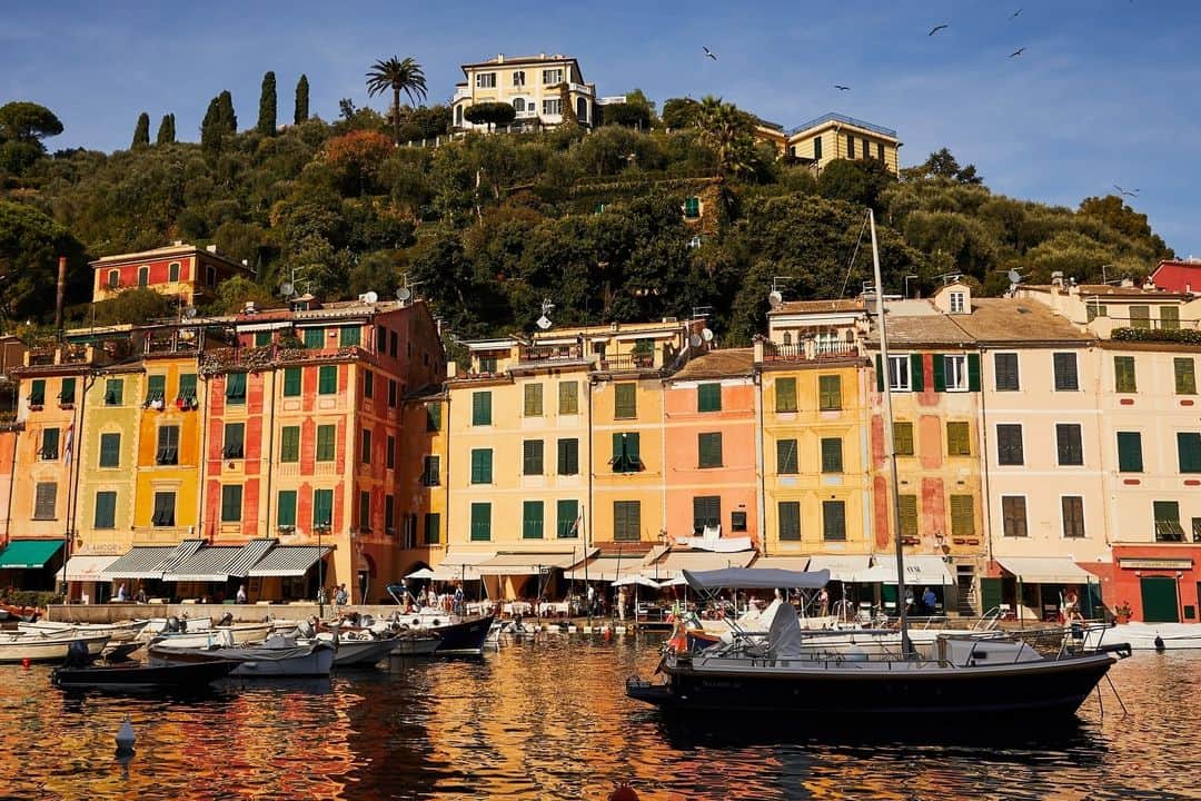 アクアディパルマさんのインスタグラム写真 - (アクアディパルマInstagram)「Dreaming of Mediterranean Summer🌊☀ . . #acquadiparma #homecollection #home #homedecor #design #interiordesign #italiantraditions」8月12日 20時00分 - acquadiparma
