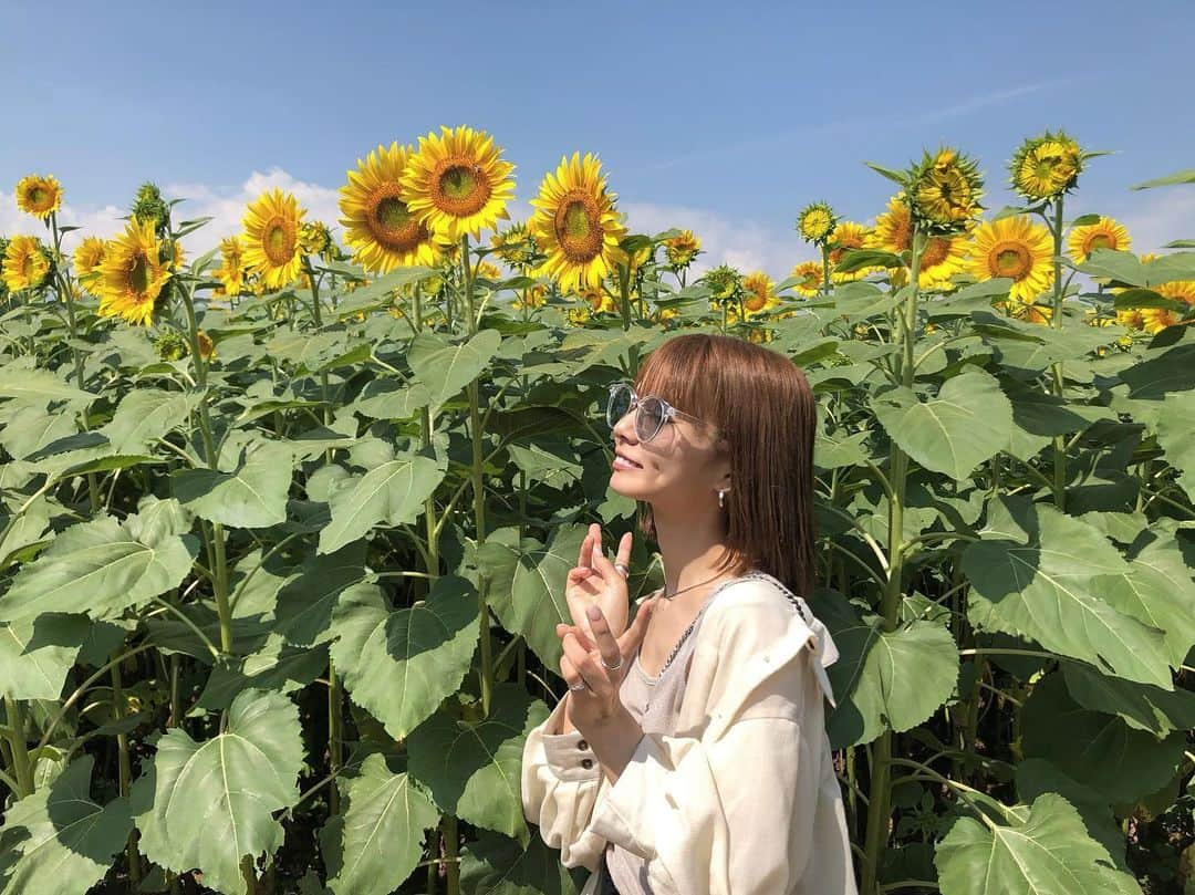 小田川エリカさんのインスタグラム写真 - (小田川エリカInstagram)「・ 山梨🗻🍇 今年も大好きな向日葵畑行けて幸せ🌻 #山梨#向日葵#ひまわり畑」8月12日 20時05分 - 0904.erika