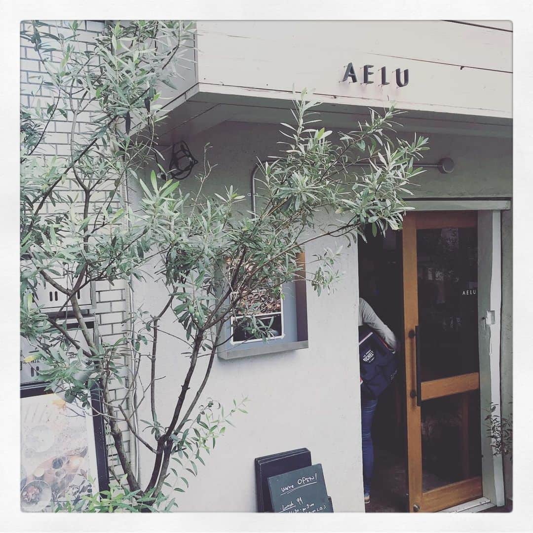 古谷恵さんのインスタグラム写真 - (古谷恵Instagram)「美味しいランチ🍽ごちそうさまでした。」8月12日 20時08分 - megumifuruya