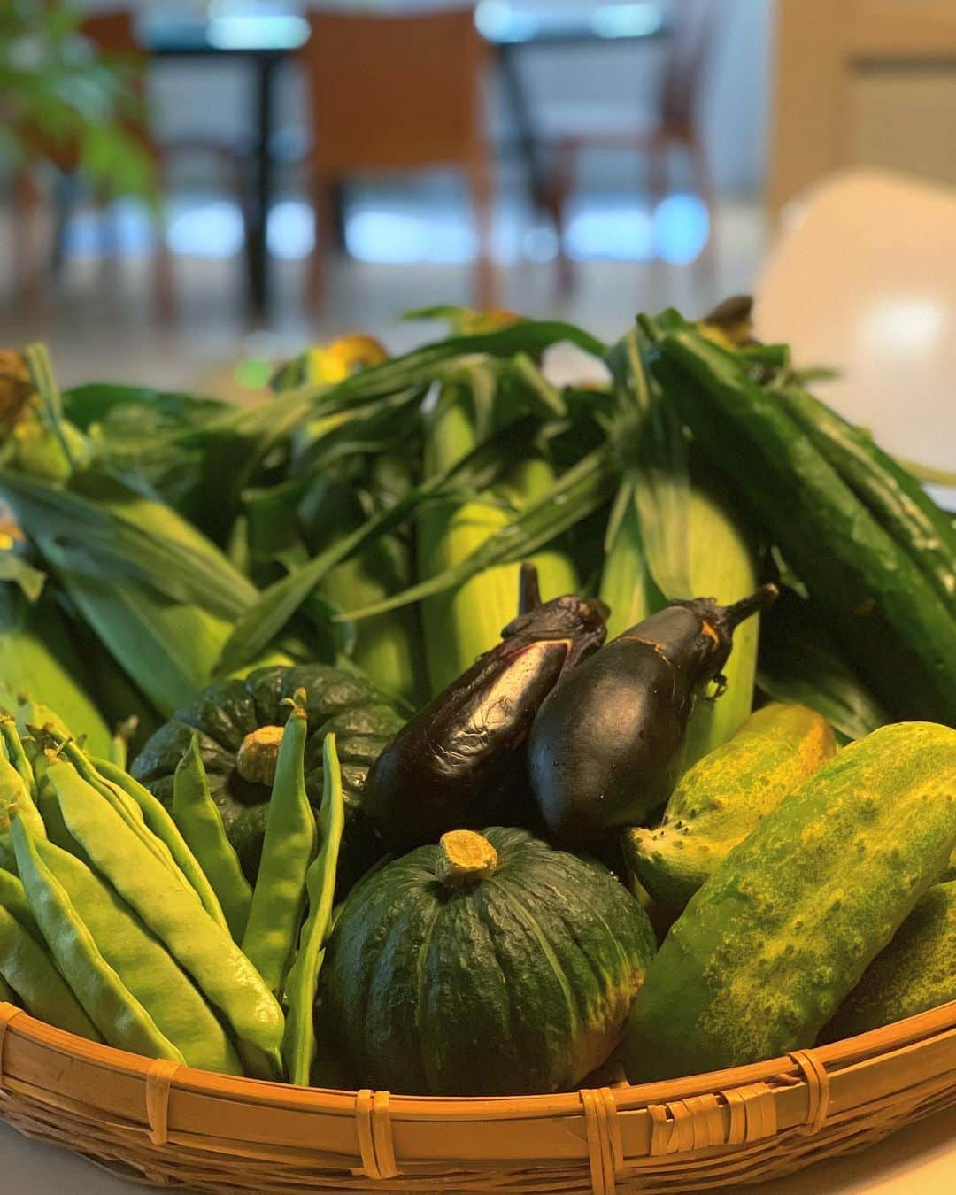 谷川じゅんじさんのインスタグラム写真 - (谷川じゅんじInstagram)「Vegetables from mother's field. 夏野菜母野菜。朝イチ届いたおかんの野菜、いただきます。#mothersfield #goodvibesonly #goodneighbors #gunmastyle #countrysidelife #thisisgunma #thisisjapan」8月12日 11時27分 - junjitanigawa