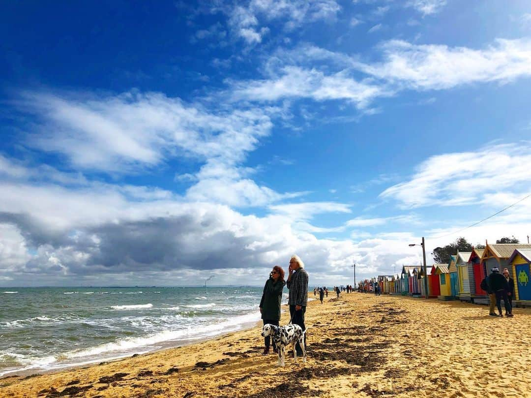 山田愛さんのインスタグラム写真 - (山田愛Instagram)「・ 素敵な老夫婦とダルメシアン❤️ W rainbow🌈 ・ こんな風に歳とっても仲良く海を散歩したいな〜🌴🌴 ・ #メルボルン生活 #ブライトンビーチ #オーストラリア #beach #オーストラリアツアー #ツアーガイド #beachlife 🇦🇺🐨🦘🏝❤️」8月12日 11時44分 - aiyamada_