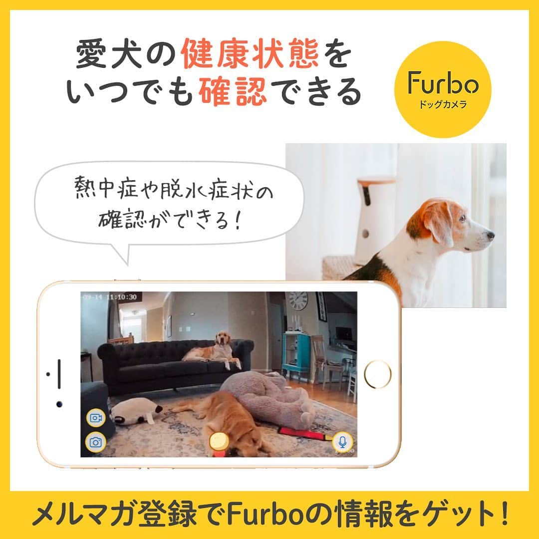 Furbo ドッグカメラさんのインスタグラム写真 - (Furbo ドッグカメラInstagram)「「僕たち？大丈夫だよ◎暑さでバテてるわけじゃないから、ママ安心してね」⁠⠀ ⁠⠀ ⁠⠀ 🎥:: ＠emwng⁠⠀ ⁠⠀ ⁠⠀ ⁠⠀ Furboはお留守番中の愛犬を見たり、話しかけたり、おやつもあげられる高機能ドッグカメラです。⁠⠀ 世界10か国で販売されているベストセラー商品です。⁠⠀ ⁠⠀ スマホ、タブレットの専用アプリを通して、お留守番している愛犬と繋がることができます。⁠⠀ ⁠⠀ 詳しくは⁠⠀ @furbo_japan⁠⠀ のURLよりご確認ください！⁠⠀ ⁠⠀ #ファーボは見た⁠⠀ #ファーボでお留守番できるもん⁠⠀ での投稿や「@furbo_japan」のタグ付け投稿でシェアされるかも！⁠⠀ ぜひご参加ください！⁠⠀ ⁠⠀ ⁠⠀ ⁠⠀ #わんこのいる生活 #わんこのいる暮らし #愛犬グッズ #ドッグシッター #furbo #ファーボ」8月12日 12時04分 - furbo_japan