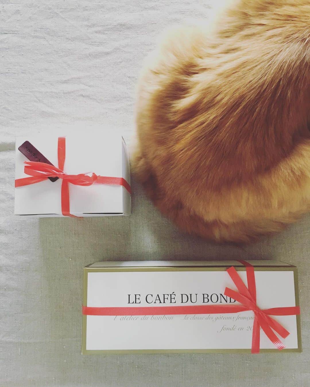 猫沢エミのグルメインスタ