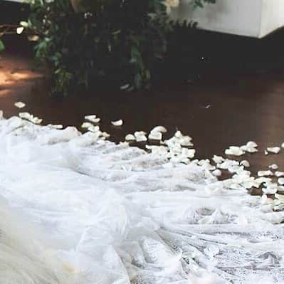 Dresses (ドレッシーズ)さんのインスタグラム写真 - (Dresses (ドレッシーズ)Instagram)「〜8月のフェア&イベント情報〜 👰 @fiorebianca_wedding  大人気オリジナルドレスを取り揃えた特別なドレスフェア  in Fiore Bianca京都店✨ . 👰都内唯一の @juno_weddingdress で選ぶ！インポートドレスフェア  in @juno_ebisu ✨ . 👰〜Dressesユーザー限定〜 ANTONIO RIVA sissi,SIBILLA試着受注会 in @juno_ebisu ✨ . 日程、詳細などは トップページURL→TOP→Faire &Eventをご覧ください💍 ********************************* 〈各イベントに関するお問い合わせ〉 💌@dresses_weddingdress へDM #アントニオリーヴァ#ドレス試着 #ドレス試着レポ #ウェディングドレス #インポートドレス#インポートドレスショップ #ウェディングドレス試着#2019秋婚  #2020冬婚 #2020春婚 #2020夏婚 ⠀」8月12日 12時26分 - dresses_weddings