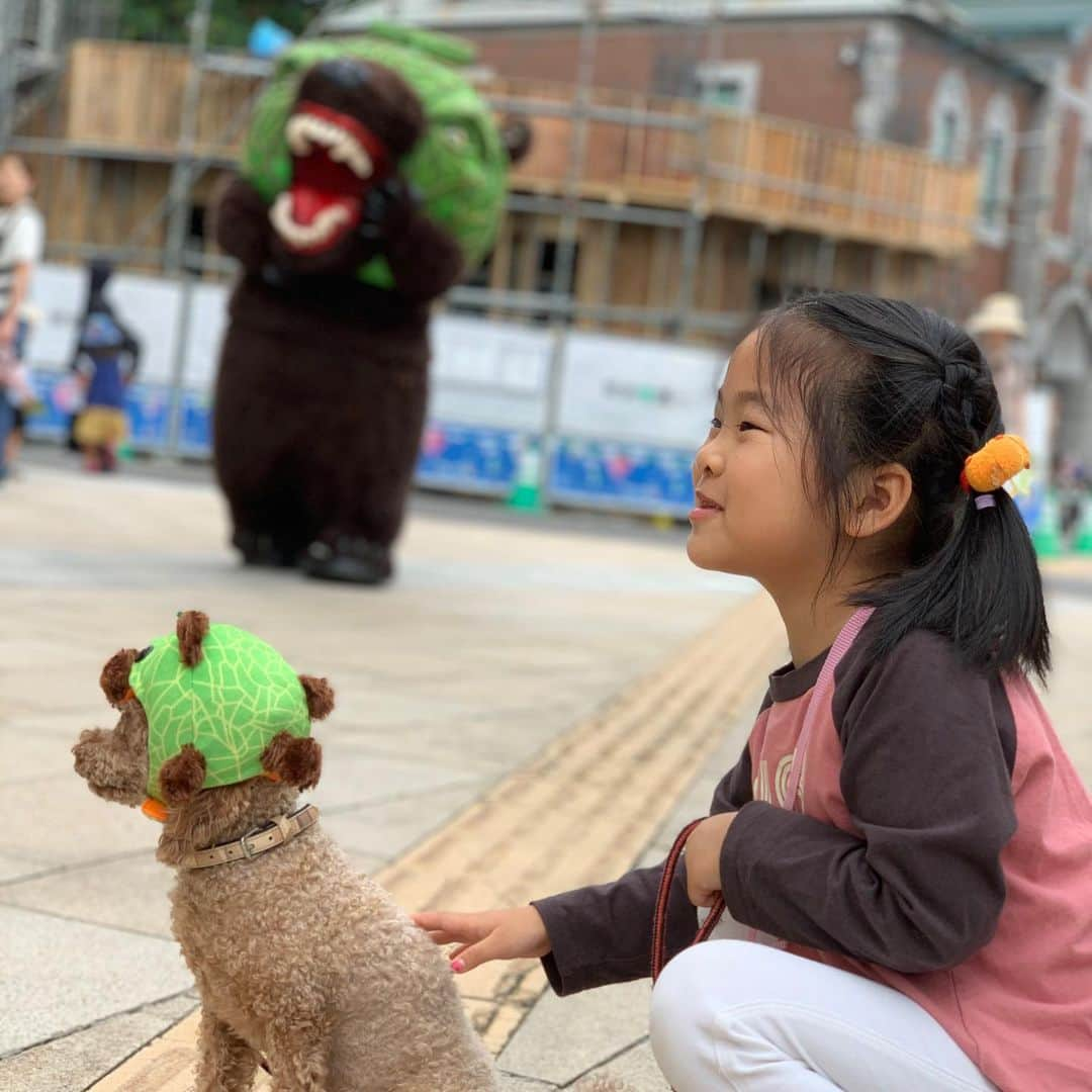 メロン熊【公式】さんのインスタグラム写真 - (メロン熊【公式】Instagram)「小樽でびゅ〜だわん #メロン熊 #小樽  #犬 #プードル #かぶり帽 #会いに来てくれてありがとう」8月12日 12時51分 - yubarimelonkuma