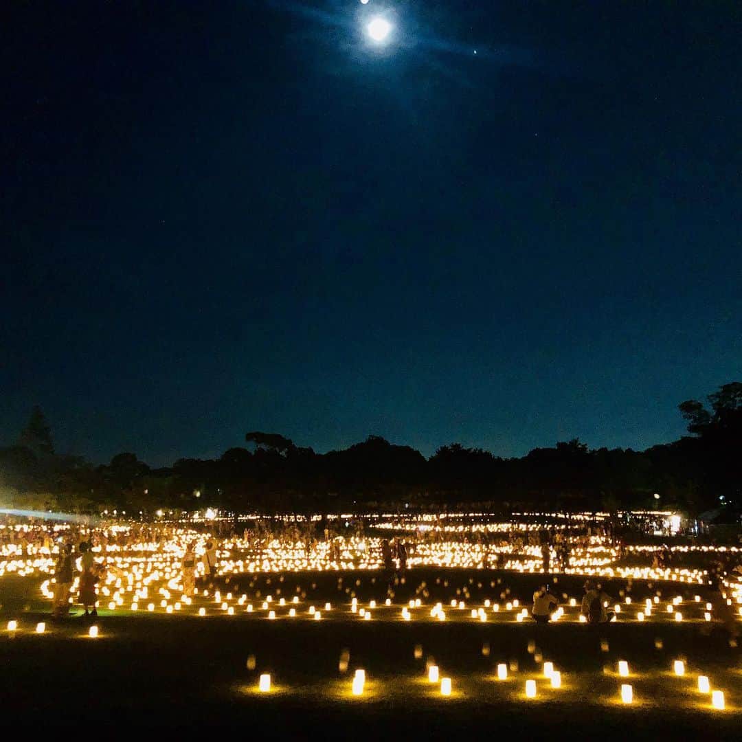 中川政七商店さんのインスタグラム写真 - (中川政七商店Instagram)「「神秘的な灯りの下でそぞろ歩き。」﻿ ﻿ 古都・奈良には仏教にまつわるお祭りが多数ありますが、「なら燈花会（とうかえ）」もその一つ。夏の10日間だけ、奈良の世界遺産をはじめとするあちこちに約2万本のロウソクが灯ります。﻿ ﻿ 「燈花」とは、灯心の先にできる花の形の塊。仏教においてはこれができると縁起が良いと言われているのだそう。﻿ 1999年に市民の手で始まったこのイベントはどこか温かく、訪れる人の心を穏やかにしてくれます。﻿ ﻿ 電飾ではなく人の手で一つひとつ置かれたロウソクだから、開催時間は2時間45分。まるで線香花火のように儚い。﻿ ﻿ 都会の賑やかなお祭りもいいけれど、たまにはこうして揺らめく灯をぼぅっと眺めながらそぞろ歩きする、そんな夏の日もいいものです。﻿ ﻿ ロウソクの隣で鹿がムシャムシャと草を頬張る姿も、なんだか奈良らしい。﻿ ﻿ ▶なら燈花会は、8/10(月)～8/14(水)まで開催中です。 ﻿ ﻿ #中川政七商店 #奈良 #奈良が好き  #奈良観光  #なら燈花会 #奈良公園」8月12日 12時56分 - nakagawamasa7